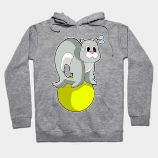 Seal Circus Hoodie